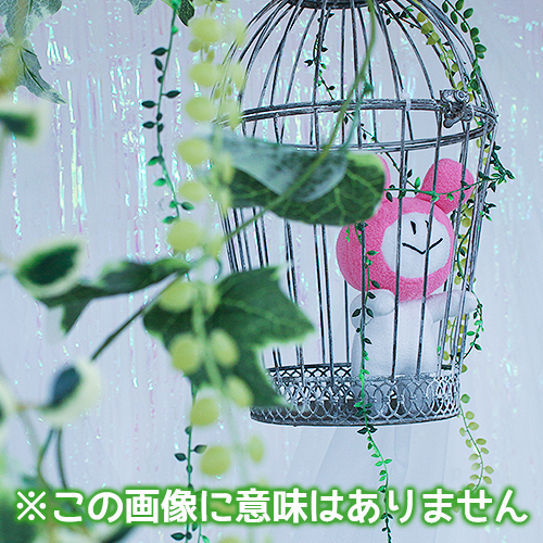 qq